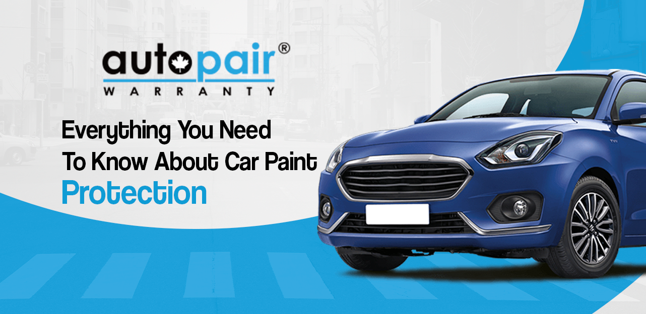 Everything You Need To Know About Car Paint Protection